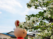 ��y�@�@�����R�@�����@�@�@�����i�Ȗ،������s���s�j�z�[���y�[�W