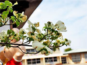 ��y�@�@�����R�@�����@�@�@�����i�Ȗ،������s���s�j�z�[���y�[�W