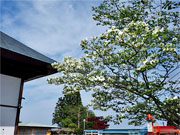 ��y�@�@�����R�@�����@�@�@�����i�Ȗ،������s���s�j�z�[���y�[�W