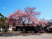 ��y�@�@�����R�@�����@�@�@�����i�Ȗ،������s���s�j�z�[���y�[�W