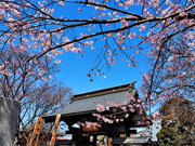 ��y�@�@�����R�@�����@�@�@�����i�Ȗ،������s���s�j�z�[���y�[�W