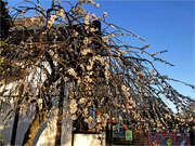 ��y�@�@�����R�@�����@�@�@�����i�Ȗ،������s���s�j�z�[���y�[�W