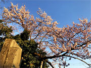 ��y�@�@�����R�@�����@�@�@�����i�Ȗ،������s���s�j�z�[���y�[�W