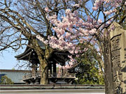 ��y�@�@�����R�@�����@�@�@�����i�Ȗ،������s���s�j�z�[���y�[�W