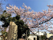 ��y�@�@�����R�@�����@�@�@�����i�Ȗ،������s���s�j�z�[���y�[�W