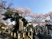 ��y�@�@�����R�@�����@�@�@�����i�Ȗ،������s���s�j�z�[���y�[�W