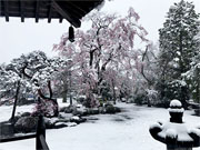 ��y�@�@�����R�@�����@�@�@�����i�Ȗ،������s���s�j�z�[���y�[�W