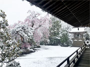 ��y�@�@�����R�@�����@�@�@�����i�Ȗ،������s���s�j�z�[���y�[�W