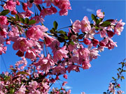 ��y�@�@�����R�@�����@�@�@�����i�Ȗ،������s���s�j�z�[���y�[�W