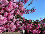 ��y�@�@�����R�@�����@�@�@�����i�Ȗ،������s���s�j�z�[���y�[�W