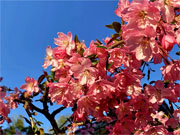 ��y�@�@�����R�@�����@�@�@�����i�Ȗ،������s���s�j�z�[���y�[�W