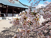 ��y�@�@�����R�@�����@�@�@�����i�Ȗ،������s���s�j�z�[���y�[�W