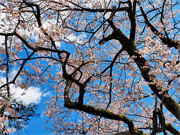 ��y�@�@�����R�@�����@�@�@�����i�Ȗ،������s���s�j�z�[���y�[�W