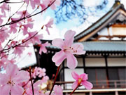 ��y�@�@�����R�@�����@�@�@�����i�Ȗ،������s���s�j�z�[���y�[�W