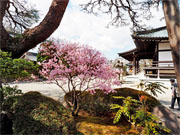 ��y�@�@�����R�@�����@�@�@�����i�Ȗ،������s���s�j�z�[���y�[�W