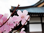 ��y�@�@�����R�@�����@�@�@�����i�Ȗ،������s���s�j�z�[���y�[�W