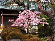 ��y�@�@�����R�@�����@�@�@�����i�Ȗ،������s���s�j�z�[���y�[�W