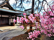 ��y�@�@�����R�@�����@�@�@�����i�Ȗ،������s���s�j�z�[���y�[�W