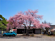 ��y�@�@�����R�@�����@�@�@�����i�Ȗ،������s���s�j�z�[���y�[�W