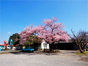 ��y�@�@�����R�@�����@�@�@�����i�Ȗ،������s���s�j�z�[���y�[�W