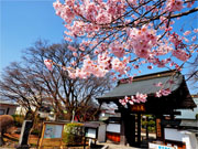 ��y�@�@�����R�@�����@�@�@�����i�Ȗ،������s���s�j�z�[���y�[�W