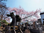 ��y�@�@�����R�@�����@�@�@�����i�Ȗ،������s���s�j�z�[���y�[�W