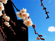 ��y�@�@�����R�@�����@�@�@�����i�Ȗ،������s���s�j�z�[���y�[�W