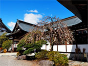 ��y�@�@�����R�@�����@�@�@�����i�Ȗ،������s���s�j�z�[���y�[�W