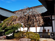 ��y�@�@�����R�@�����@�@�@�����i�Ȗ،������s���s�j�z�[���y�[�W