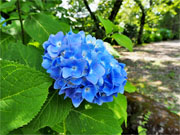 ��y�@�@�����R�@�����@�@�@�����i�Ȗ،������s���s�j�z�[���y�[�W