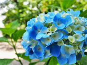 ��y�@�@�����R�@�����@�@�@�����i�Ȗ،������s���s�j�z�[���y�[�W