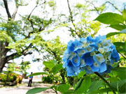 ��y�@�@�����R�@�����@�@�@�����i�Ȗ،������s���s�j�z�[���y�[�W