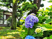 ��y�@�@�����R�@�����@�@�@�����i�Ȗ،������s���s�j�z�[���y�[�W