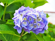 ��y�@�@�����R�@�����@�@�@�����i�Ȗ،������s���s�j�z�[���y�[�W