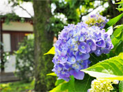 ��y�@�@�����R�@�����@�@�@�����i�Ȗ،������s���s�j�z�[���y�[�W