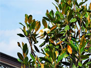 ��y�@�@�����R�@�����@�@�@�����i�Ȗ،������s���s�j�z�[���y�[�W