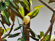 ��y�@�@�����R�@�����@�@�@�����i�Ȗ،������s���s�j�z�[���y�[�W