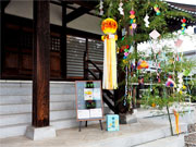 ��y�@�@�����R�@�����@�@�@�����i�Ȗ،������s���s�j�z�[���y�[�W