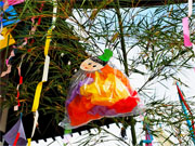 ��y�@�@�����R�@�����@�@�@�����i�Ȗ،������s���s�j�z�[���y�[�W