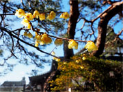 ��y�@�@�����R�@�����@�@�@�����i�Ȗ،������s���s�j�z�[���y�[�W