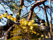 ��y�@�@�����R�@�����@�@�@�����i�Ȗ،������s���s�j�z�[���y�[�W