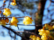 ��y�@�@�����R�@�����@�@�@�����i�Ȗ،������s���s�j�z�[���y�[�W