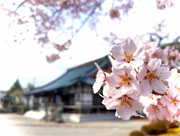 ��y�@�@�����R�@�����@�@�@�����i�Ȗ،������s���s�j�z�[���y�[�W