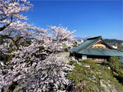 ��y�@�@�����R�@�����@�@�@�����i�Ȗ،������s���s�j�z�[���y�[�W