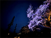 ��y�@�@�����R�@�����@�@�@�����i�Ȗ،������s���s�j�z�[���y�[�W