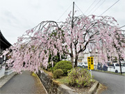 ��y�@�@�����R�@�����@�@�@�����i�Ȗ،������s���s�j�z�[���y�[�W