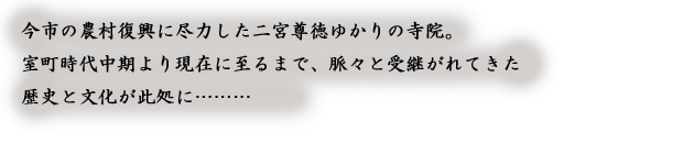 ��y�@�@�����R�@�����@�@�@�����i�Ȗ،������s���s�j�z�[���y�[�W