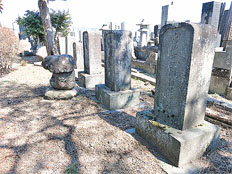 ��y�@�@�����R�@�����@�@�@�����i�Ȗ،������s���s�j�z�[���y�[�W 